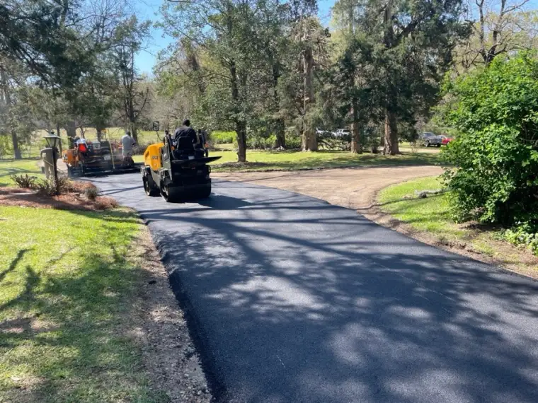 Tree-lined driveway paving